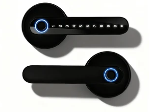 ZB06 TUYA Door Lock